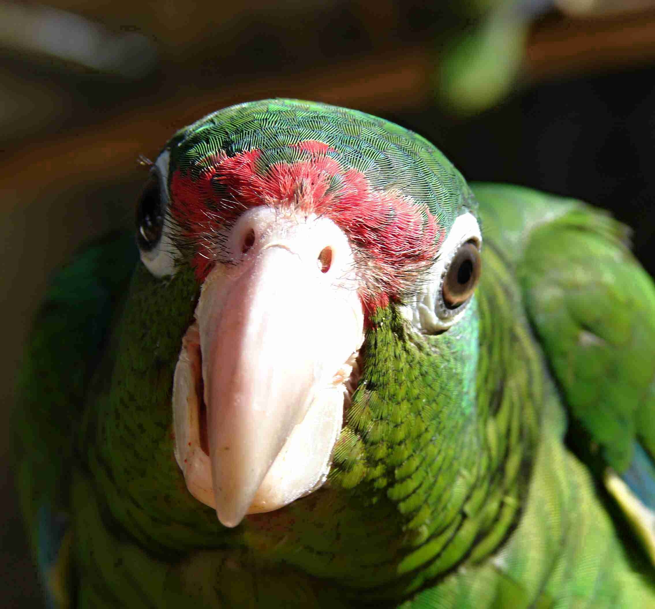 Foto 4